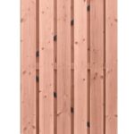 Woodvision Douglas geschaafde plankendeur 100x195 cm, 19 mm, op verstelbaar frame